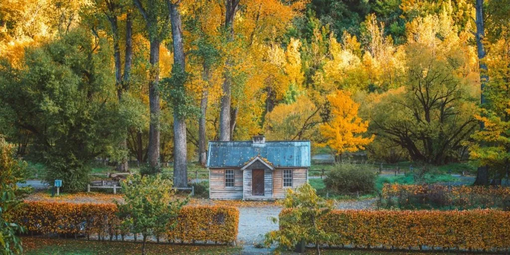 A gold mining hut surrounded by autumn leaves in Arrowtown, New Zealand