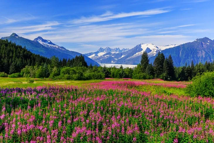 Juneau, Alaska in Summer