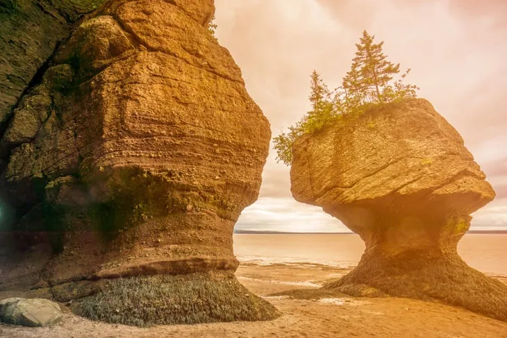 Hopewell Rocks