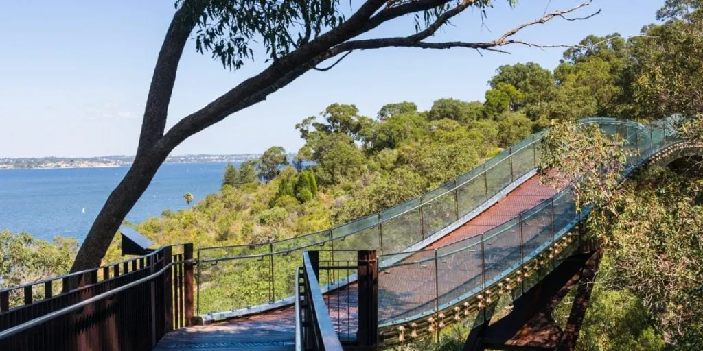 Bridge running through the treetops in Kings Park, Perth, Australia
