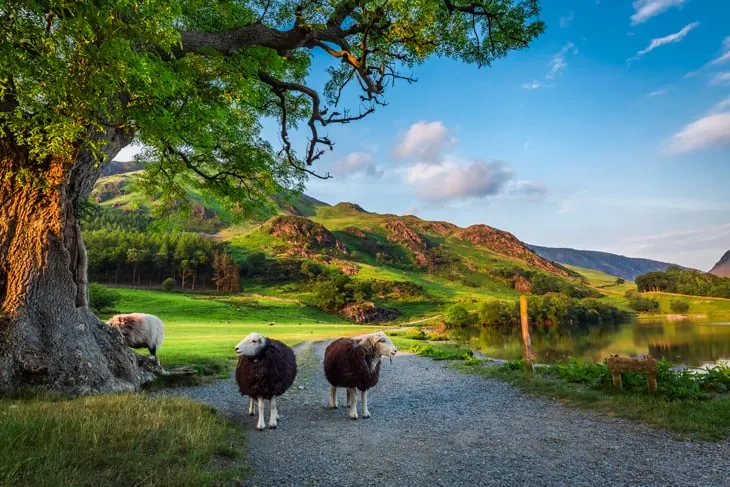 Countryside in the Lake District