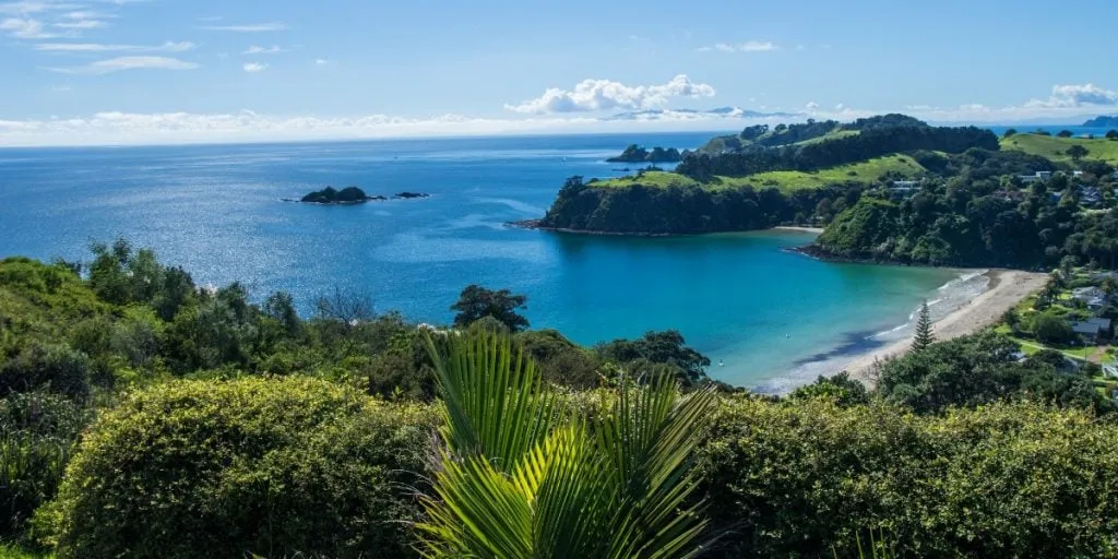 Waiheke Island – Little Palm Beach