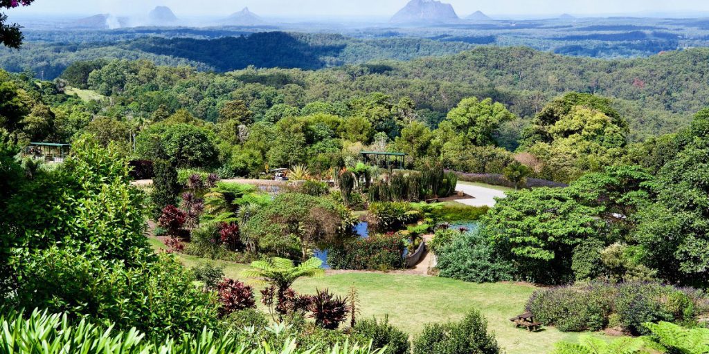 Glass House Mountains, Maleny Botanical Gardens, Queensland