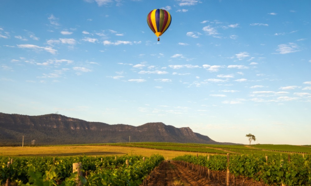 Annual hot air balloon festival. The balloons are inflated at dawn and float over the Hunter Valley wine country.
