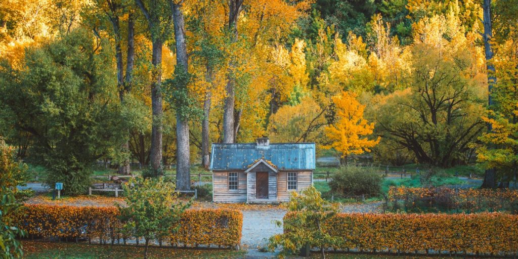 A little gold mining hut surrounded by autumnal leaves in Arrowtown - New Zealand